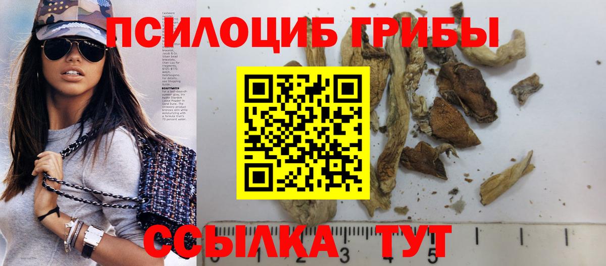 Краснокаменск  Галлюциногенные грибы Magic Shrooms  Вход с VPN 